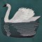 BFC0361 Swans & Water Lilies