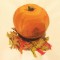 BFC0363 Autumn