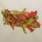 BFC0363 Autumn