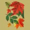 BFC0366 Cornucopia Designs