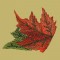 BFC0366 Cornucopia Designs
