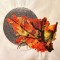 BFC0369 Autumn II