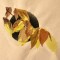 BFC0369 Autumn II