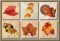 BFC0369 Autumn II