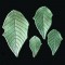 BFC0374 Poinsettias