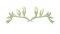 RMG3802  Freesia