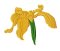 RMG3808 The Golden Iris