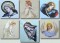 BFC0384 Angels