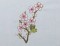 BFC0386 Chinese Quilt Blocks II