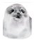 RMG3887  Seal