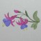BFC0392 Floral Borders