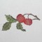 BFC0392 Floral Borders