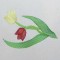 BFC0392 Floral Borders