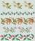BFC0392 Floral Borders