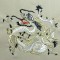 BFC0395 Japanese Dragons