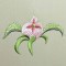 BFC0396 Japanese Embroidery