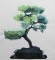 BFC0402 Bonsai