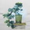 BFC0402 Bonsai