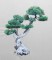 BFC0402 Bonsai