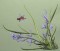 BFC0413 Floral Combos I
