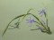 BFC0413 Floral Combos I
