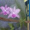 BFC0416 Stained Glass Fantasy