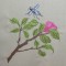 BFC0419 Floral Combo II
