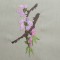 BFC0419 Floral Combo II