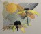 BFC0425 Sunflowers