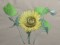 BFC0425 Sunflowers