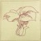 BFC0432 Floral Quiltables