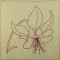 BFC0432 Floral Quiltables