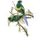 RMG432 Mallee Ringneck