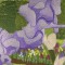 BFC0434 Windows - Iris Fields