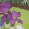 BFC0434 Windows - Iris Fields