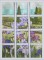 BFC0434 Windows - Iris Fields