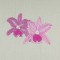 BFC0435 Stained Glass Fantasy Designs