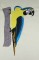 BFC0435 Stained Glass Fantasy Designs
