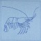 BFC0437 Under The Sea Quiltables
