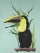 BFC0438 Tropical Birds