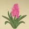 BFC0441 Floral Favorites