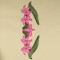 BFC0441 Floral Favorites
