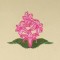 BFC0441 Floral Favorites