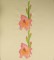 BFC0441 Floral Favorites