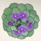 BFC0441 Floral Favorites