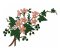 RMG442 Vintage Floral 1