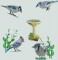 BFC0443 Bluejays