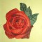 BFC0458 Rose Cottage Designs