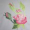 BFC0458 Rose Cottage Designs