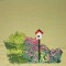 BFC0458 Rose Cottage Designs